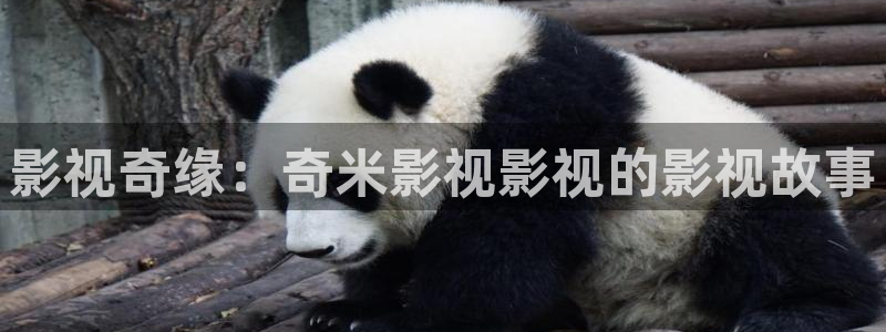 星空影院在线观看全集