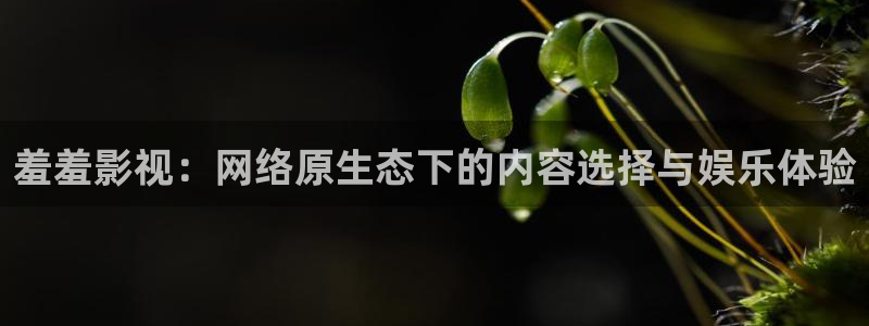 星空影院在线观看免费观看电视剧